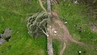 Condenados dos hombres por talar el famoso árbol 'Sycamore Gap' en el norte de Inglaterra