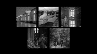 El verano en blanco y negro de Viena