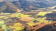 La alfombra intacta de la Vall d'en Bas