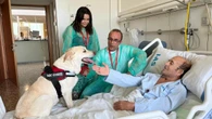 Enfermos paliativos o con pronóstico incierto reciben la visita de sus perros en el hospital