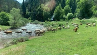 Ruta idílica por Ansó, Hecho y Siresa