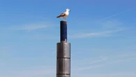 La gaviota vigilante del Port de Barcelona