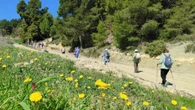 La gran ruta de los campos florecidos
