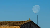 La luna de la golondrina