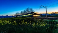 El tren de la primavera sí llega puntual