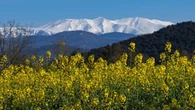La gran montaña de la primavera