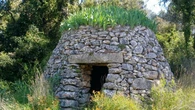 La corona de la barraca de viña