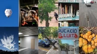 De la invasión extraterrestre al corazón de setas