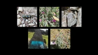 Cotos, la puerta a la biodiversidad de la sierra de Guadarrama