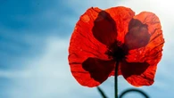 La primavera al rojo vivo