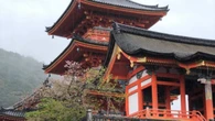 Ruta por Kioto, la antigua capital de Japón