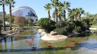 Un ciberataque ruso afecta al sistema de riego del Jardín del Túria de València