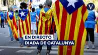 Diada de Catalunya 2024, en directo: Última hora de la ofrenda floral a Rafael Casanova y manifestación del 11-S