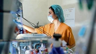 Un proyecto pionero de placentas artificiales probado con éxito en ovejas prepara el salto para ser usado en un futuro en humanos
