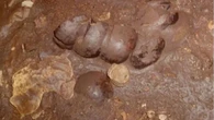 Los numerosos cráneos fragmentados de Cueva de Sangre que revelan un brutal ritual maya en Guatemala para apaciguar al dios de la lluvia