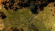 Descubierto en Escocia el campo de fútbol más antiguo conocido, donde ya se jugaban partidos cada sábado hace 400 años