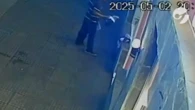 “Operación Stitch”: el insólito operativo policial para recuperar el peluche robado a una niña