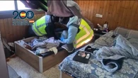 Cae una banda que promovió 132 falsas parejas de hecho para regularizar a personas extranjeras