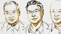 Nobel de Economía para los teóricos del crecimiento disruptivo mediante la innovación