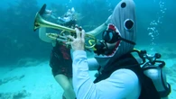 Festival de música subacuática promueve la protección de los arrecifes en Florida