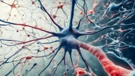 Científicos de todo el mundo crean una alianza global contra las enfermedades neurodegenerativas