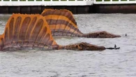 Captan a un Spinosaurus flotando en el río Chao Phraya en Bangkok
