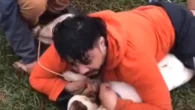 Un experto en artes marciales es atacado por 2 pitbulls: los reduce con una llave y se salva