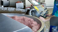 Succionada y triturada una limpiadora por una picadora de carne que se encendió repentinamente en una fábrica de burritos