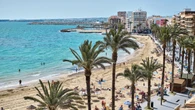 Un peón de jardinería del Ayuntamiento de Torrevieja pide teletrabajar dos días a la semana