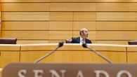 El Senado rechaza definir como “genocidio” los ataques de Israel a Gaza