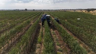 Mat Holding y Santander transforman fincas agrarias