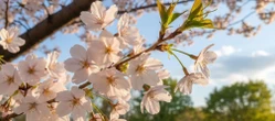 Wiadomości Pogoda na weekend w Katowicach 1-3 maja. Temperatura wyraźnie wzrośnie, a niebo się rozpogodzi