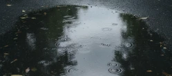 Jeden dzień może pokrzyżować plany w Toruniu. Prognoza na weekend ma ważny szczegół