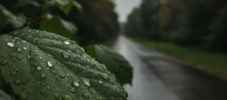 Weekend w Lublinie ma jeden słabszy moment. Prognoza pokazuje ważną zmianę aury