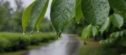 Weekend w Katowicach z wyraźną zmianą pogody. Jeden dzień będzie deszczowy