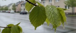 Deszczowa sobota i słoneczna niedziela w Łodzi. Weekend przyniesie zmianę pogody