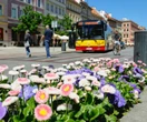 Majówka 2026 Pogoda w majówkę 2026. Tak wyglądają prognozy dla Warszawy