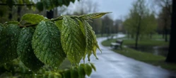 Pogoda w Szczecinie przyniesie dużą zmianę. Weekend zacznie się ciepło, ale potem spadnie deszcz