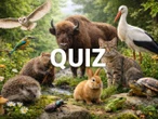 uda ci się? QUIZ. Książki i filmy ze zwierzęciem w tytule. Możesz popełnić tylko jeden błąd