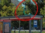 Warszawa - nowe zasady Hulajnoga porzucona na dachu przystanku. Warszawa wprowadza nowe zasady dla użytkowników jednośladów