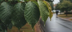 Weekend w Lublinie z chmurami i zmienną temperaturą. Sobota będzie najchłodniejsza