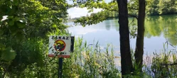 Mężczyzna nie żyje Zwłoki mężczyzny wyłowione z wody. Makabryczne odkrycie przy dzikiej plaży
