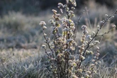 Prognoza IMGW -4°C to nie wszystko. Deszcz i potworne zachmurzenie! Dramatyczne prognozy na koniec kwietnia [Prognoza IMGW na 30.04.2026]