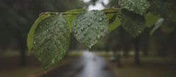 Weekend w Lublinie zacznie się idealnie, ale prognoza ma haczyk. Jeden dzień będzie kluczowy