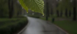 Weekend w Bydgoszczy z wyraźną zmianą. Niedziela może rozczarować