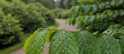 Weekend w Gdańsku z rosnącą temperaturą. Niedziela będzie najcieplejsza, ale z deszczem