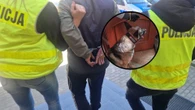 Akcja policji Policyjny pies Szron wywęszył potężne zapasy. 40-latek ukrywał w domu kilogramy narkotyków
