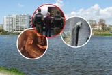 Szokująca sprawa Ukrainiec wywiózł żywego suma w bagażniku. Został wydalony z Polski. Strażnicy odstawili go pod samą granicę
