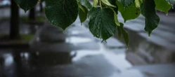 Deszczowa sobota we Wrocławiu. Pozostałe dni weekendu zapowiadają się inaczej