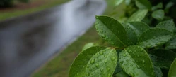 Słoneczny początek weekendu w Łodzi to nie wszystko. Prognoza ma jeden słabszy dzień